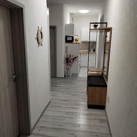 Zeko *