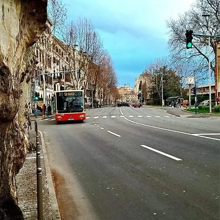 Zeko Apartment