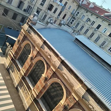 Zeko *